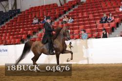 18BUCK_04676 proof