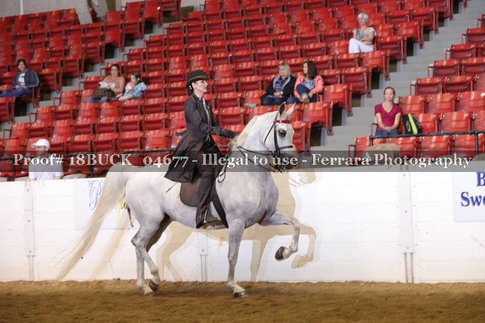 Proof 18BUCK_04677