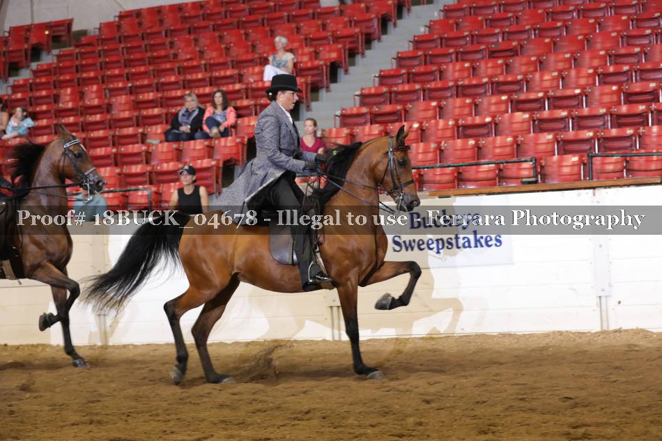 Proof 18BUCK_04678