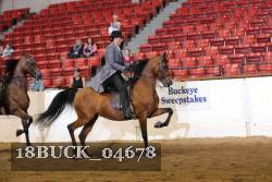 18BUCK_04678 proof