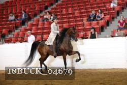 18BUCK_04679 proof