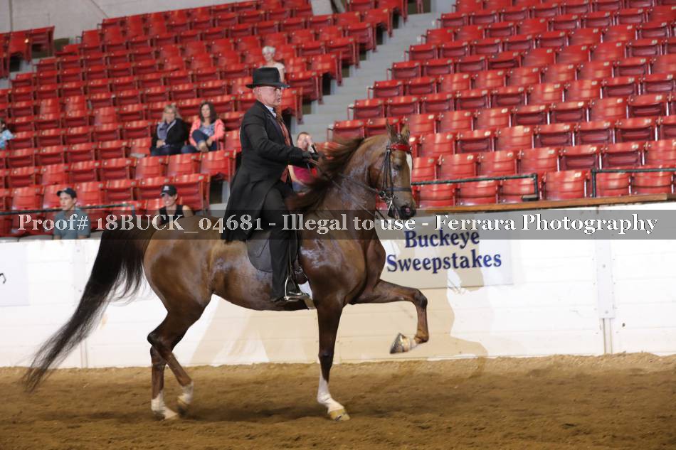 Proof 18BUCK_04681