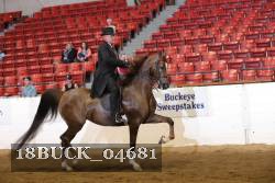 18BUCK_04681 proof