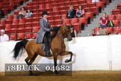 18BUCK_04682 proof
