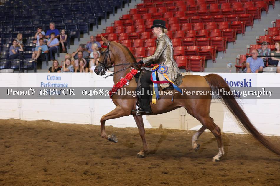 Proof 18BUCK_04683