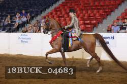 18BUCK_04683 proof