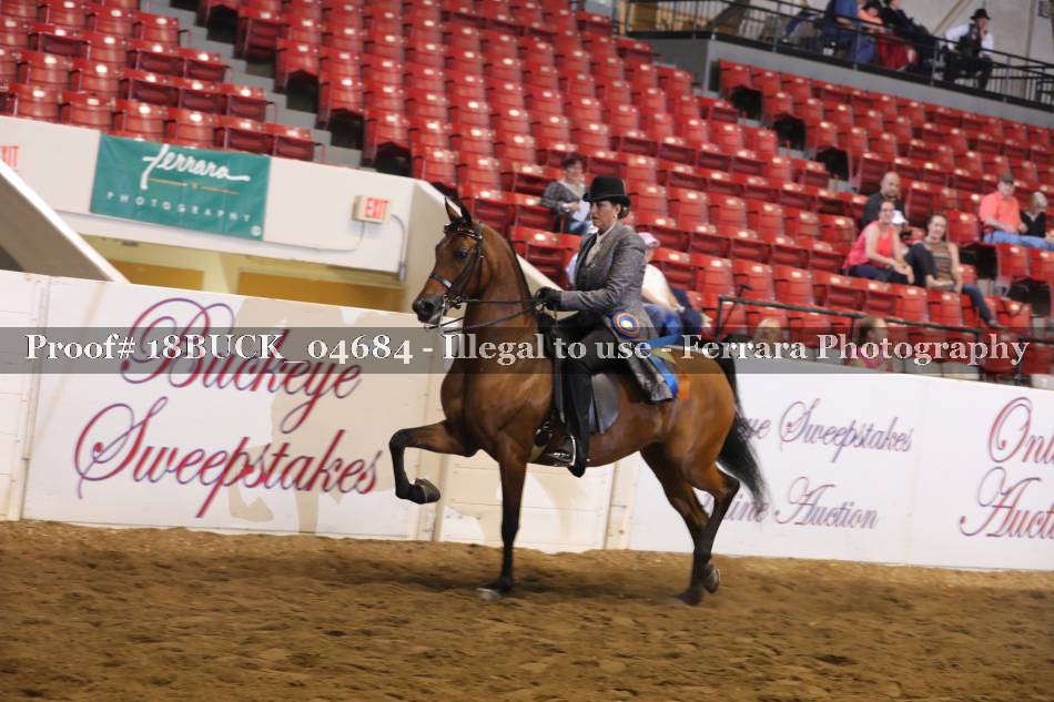 Proof 18BUCK_04684
