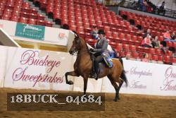 18BUCK_04684 proof