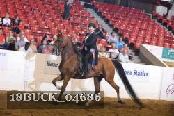18BUCK_04686 proof