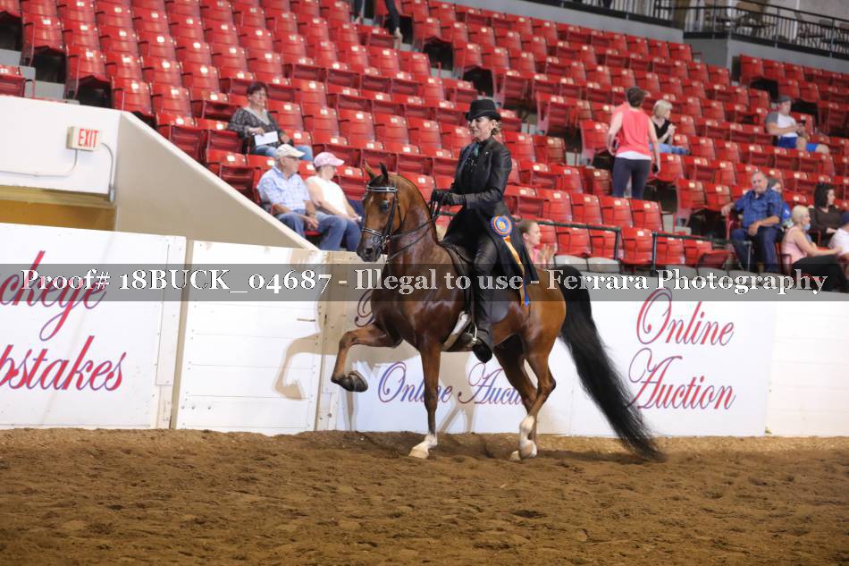 Proof 18BUCK_04687