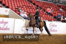 18BUCK_04687 proof