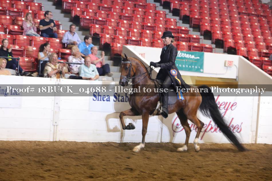 Proof 18BUCK_04688