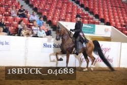 18BUCK_04688 proof