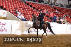 18BUCK_04689 proof