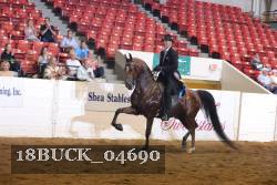 18BUCK_04690 proof