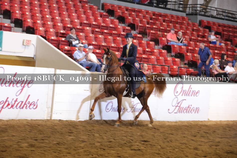 Proof 18BUCK_04691