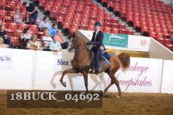 18BUCK_04692 proof