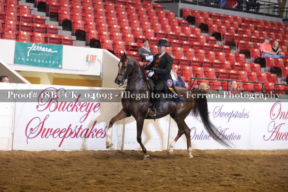 Proof 18BUCK_04693