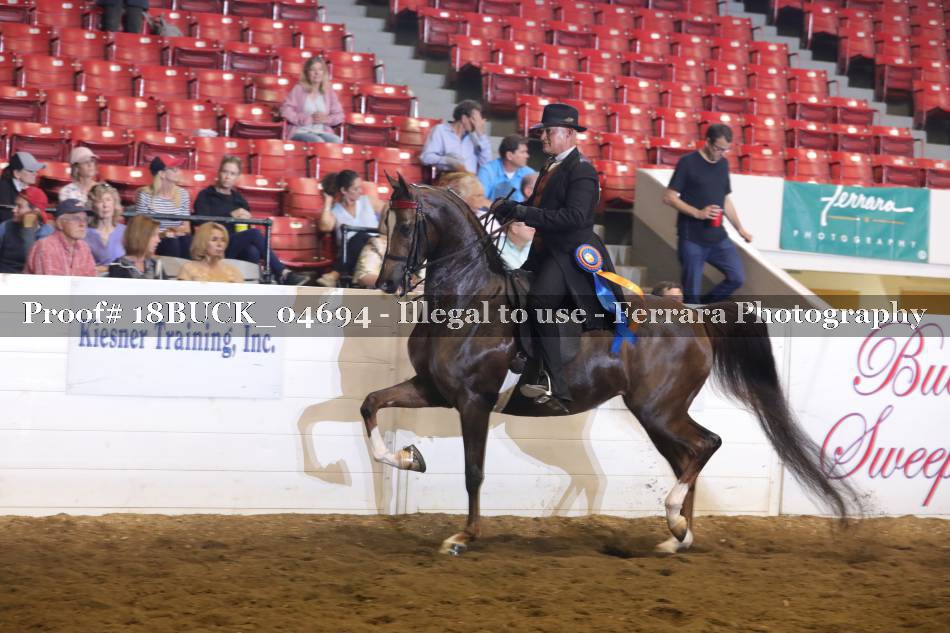 Proof 18BUCK_04694