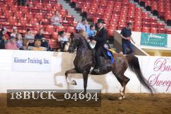 18BUCK_04694 proof
