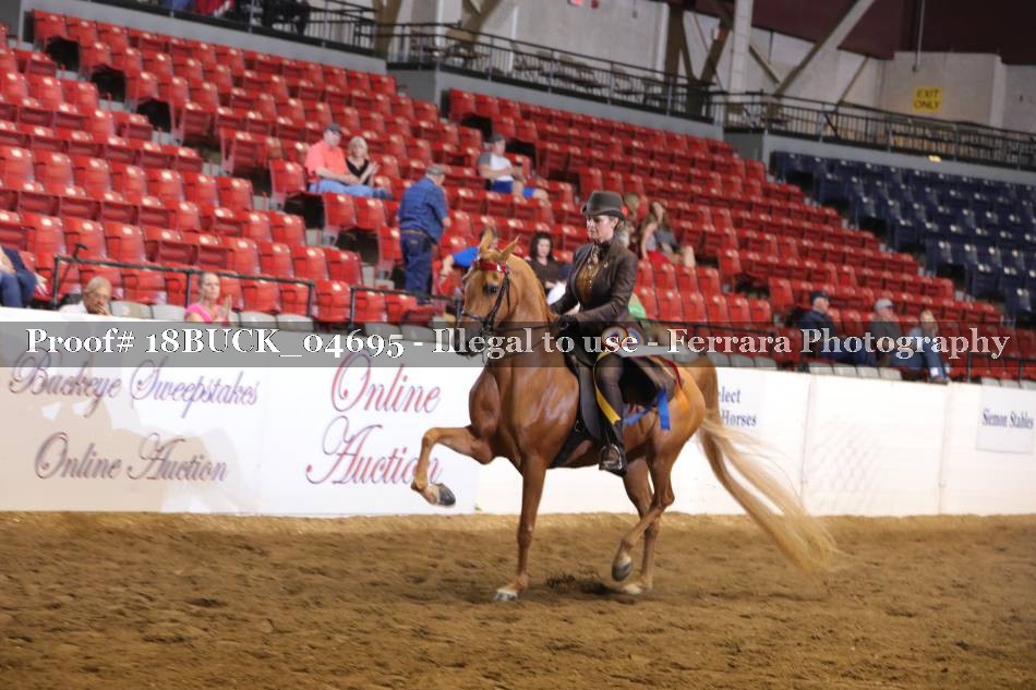 Proof 18BUCK_04695