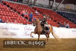 18BUCK_04695 proof