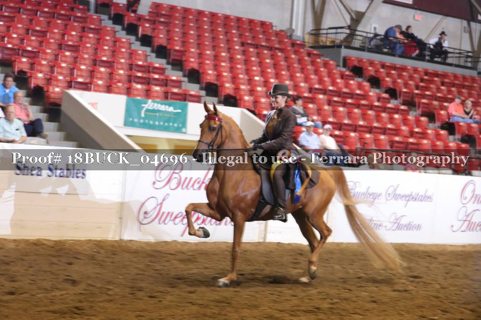 Proof 18BUCK_04696