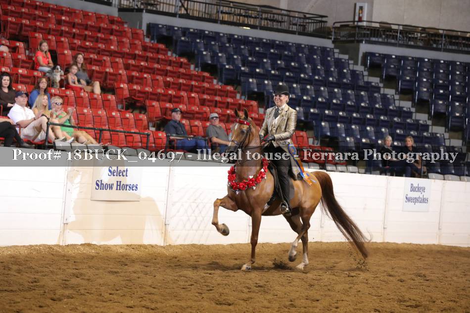 Proof 18BUCK_04697