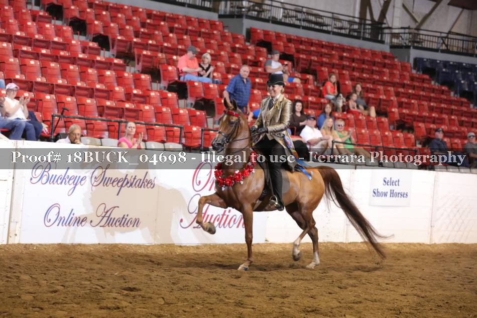 Proof 18BUCK_04698