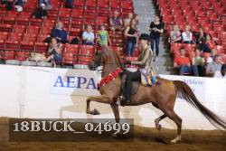 18BUCK_04699 proof