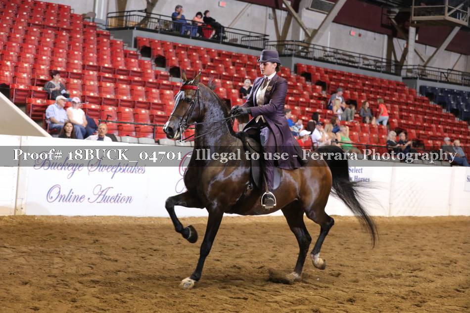 Proof 18BUCK_04701