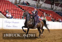 18BUCK_04701 proof