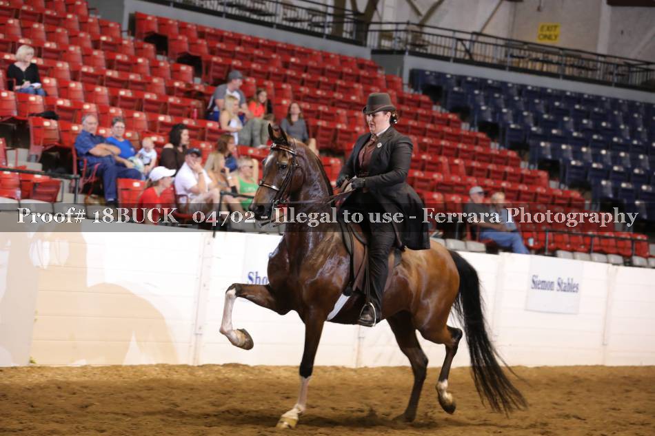 Proof 18BUCK_04702