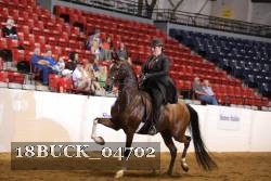 18BUCK_04702 proof