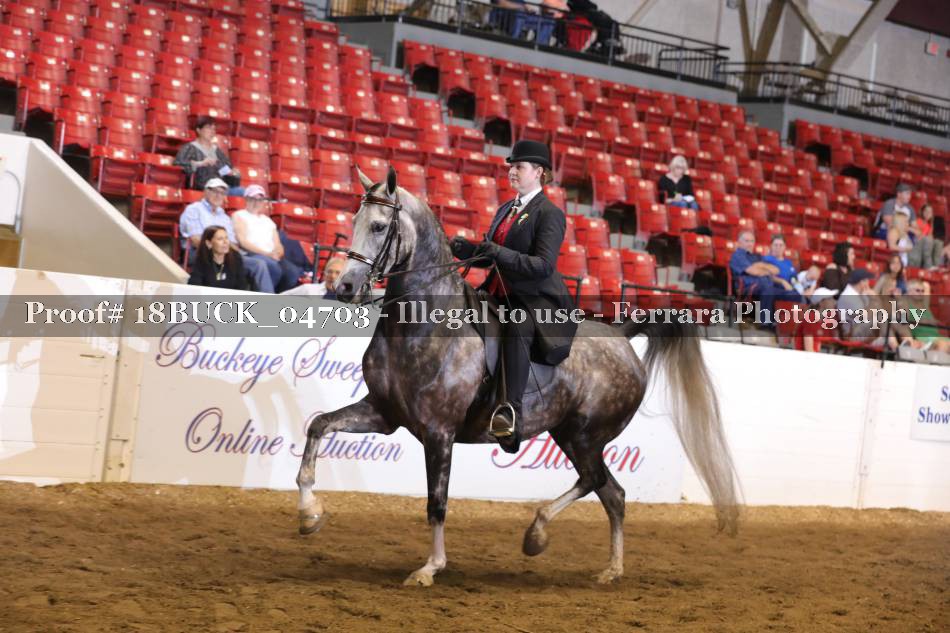 Proof 18BUCK_04703