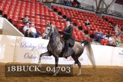 18BUCK_04703 proof