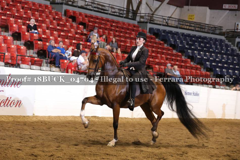 Proof 18BUCK_04704