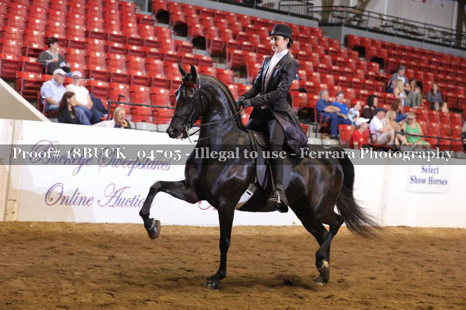 Proof 18BUCK_04705