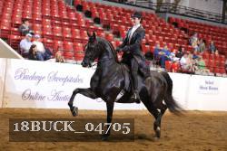 18BUCK_04705 proof