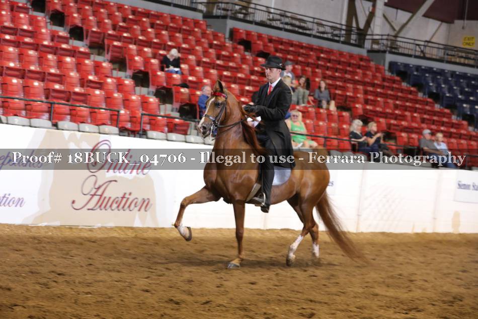 Proof 18BUCK_04706