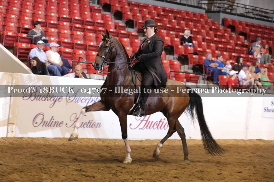Proof 18BUCK_04707