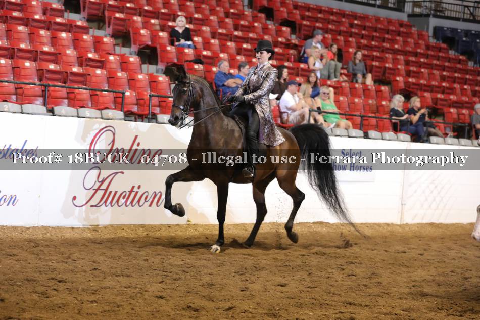 Proof 18BUCK_04708