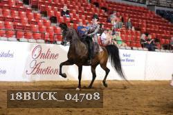 18BUCK_04708 proof