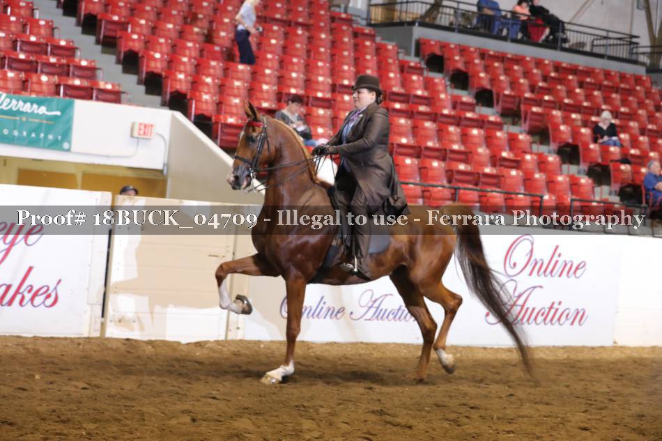 Proof 18BUCK_04709