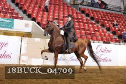 18BUCK_04709 proof