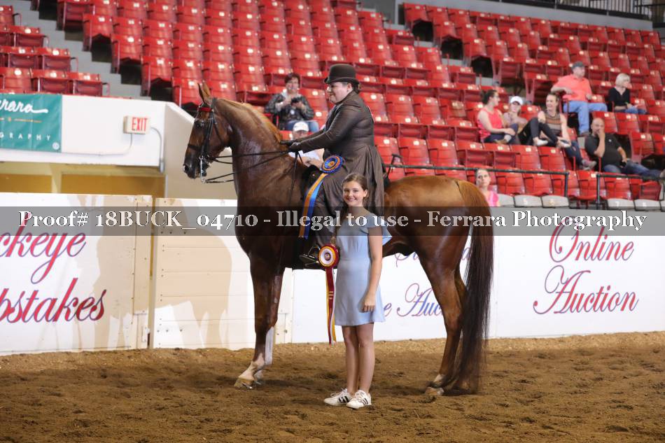 Proof 18BUCK_04710