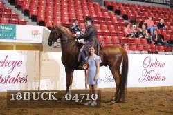 18BUCK_04710 proof