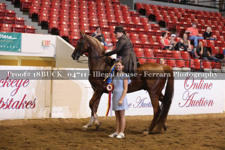 Proof 18BUCK_04711
