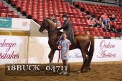 18BUCK_04711 proof