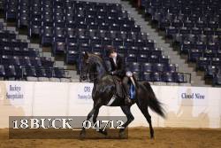 18BUCK_04712 proof